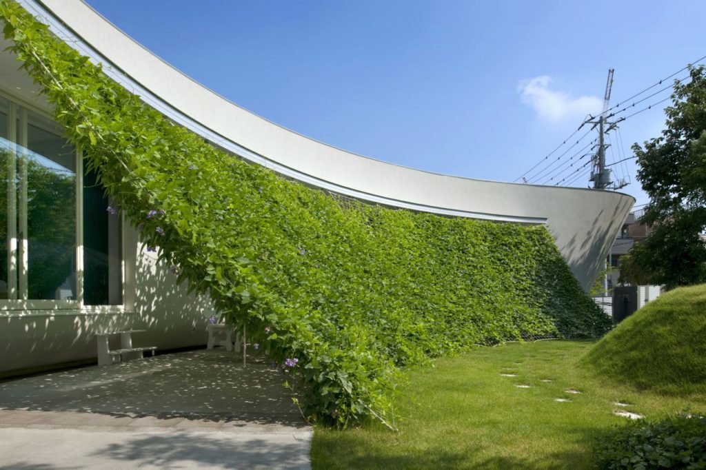 bring-nature-into-the-city-8909
